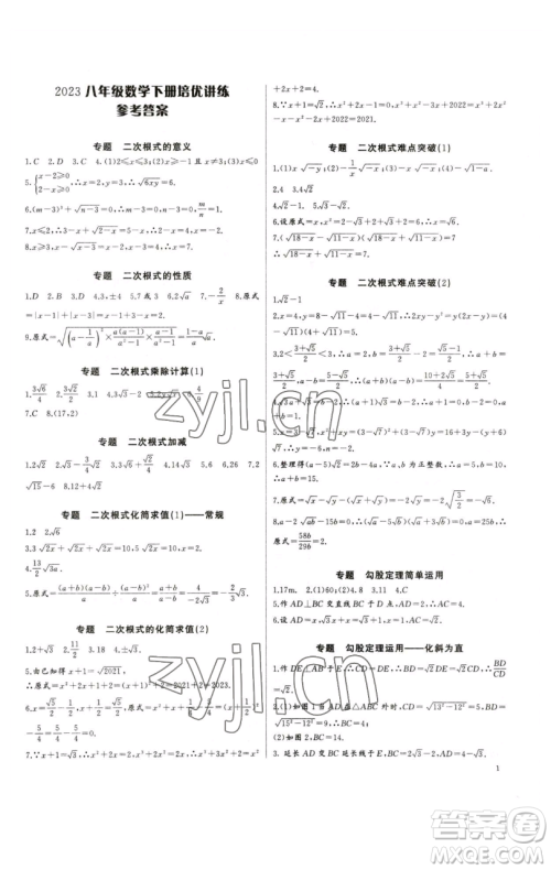 长江少年儿童出版社2023思维新观察培优讲练八年级下册数学人教版参考答案