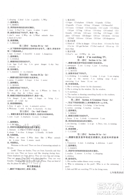 长江少年儿童出版社2023思维新观察七年级下册英语人教版参考答案