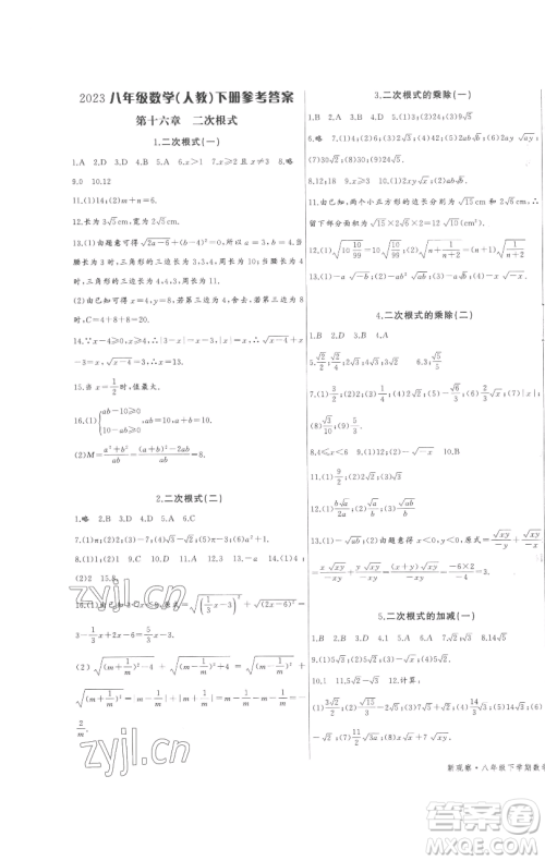 长江少年儿童出版社2023思维新观察八年级下册数学人教版参考答案