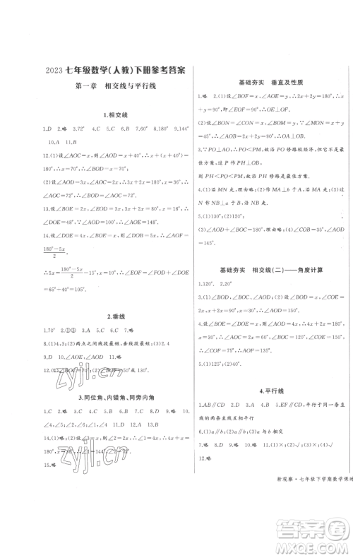 长江少年儿童出版社2023思维新观察七年级下册数学人教版参考答案