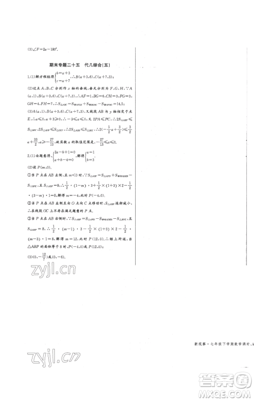 长江少年儿童出版社2023思维新观察七年级下册数学人教版参考答案