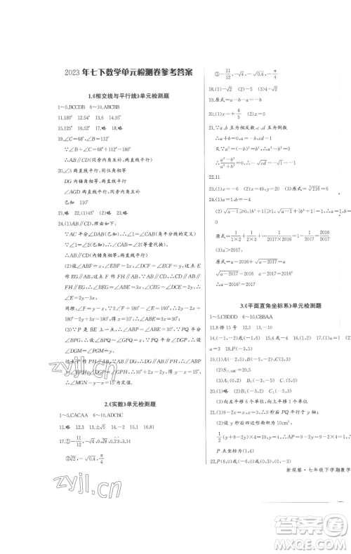 长江少年儿童出版社2023思维新观察七年级下册数学人教版参考答案