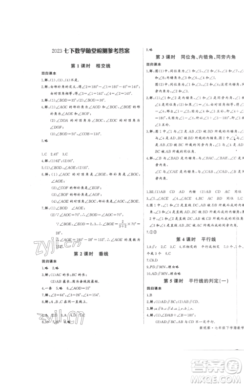 长江少年儿童出版社2023思维新观察七年级下册数学人教版参考答案