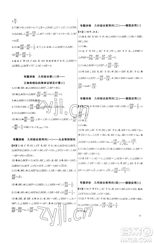 长江少年儿童出版社2023思维新观察中考数学专题复习参考答案