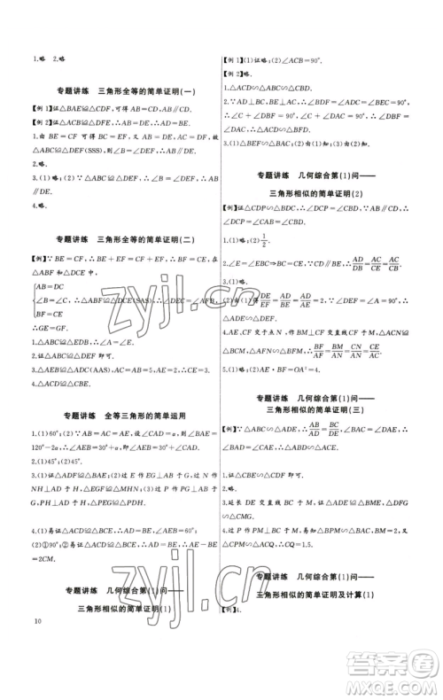长江少年儿童出版社2023思维新观察中考数学专题复习参考答案