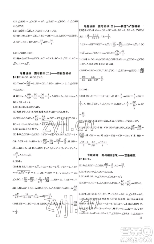 长江少年儿童出版社2023思维新观察中考数学专题复习参考答案