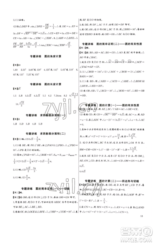 长江少年儿童出版社2023思维新观察中考数学专题复习参考答案