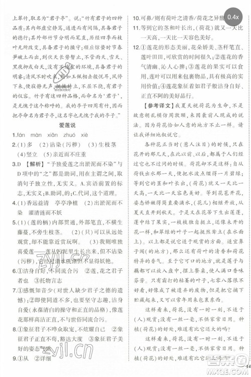 武汉出版社2023状元成才路创优作业七年级语文下册人教版参考答案 武汉出版社2023状元成才路创优作业七年级语文下册人教版参考答案