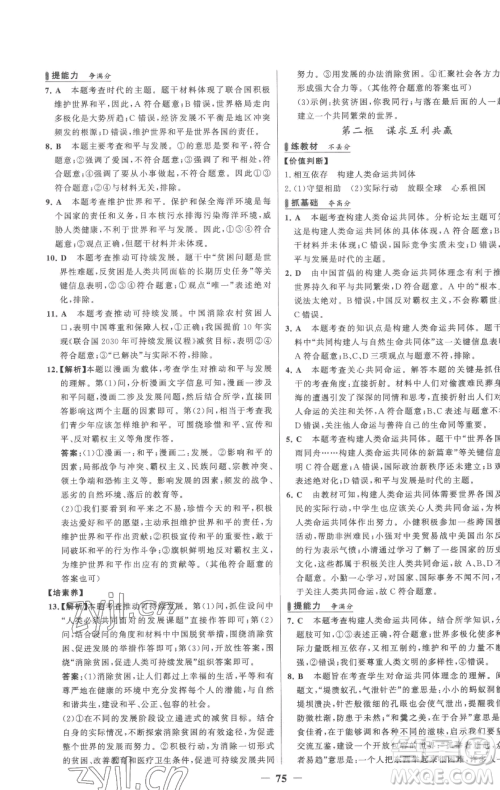 延边大学出版社2023世纪金榜百练百胜九年级下册道德与法治人教版参考答案