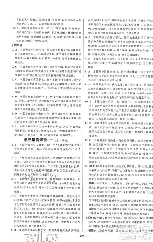 延边大学出版社2023世纪金榜百练百胜九年级下册道德与法治人教版参考答案