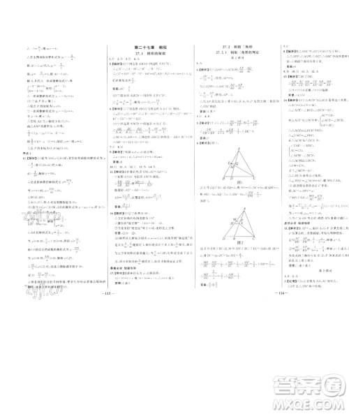 延边大学出版社2023世纪金榜百练百胜九年级下册数学人教版参考答案