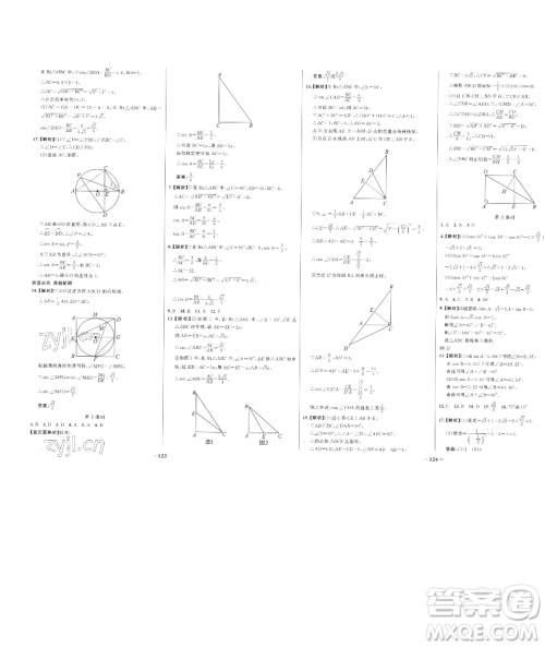 延边大学出版社2023世纪金榜百练百胜九年级下册数学人教版参考答案