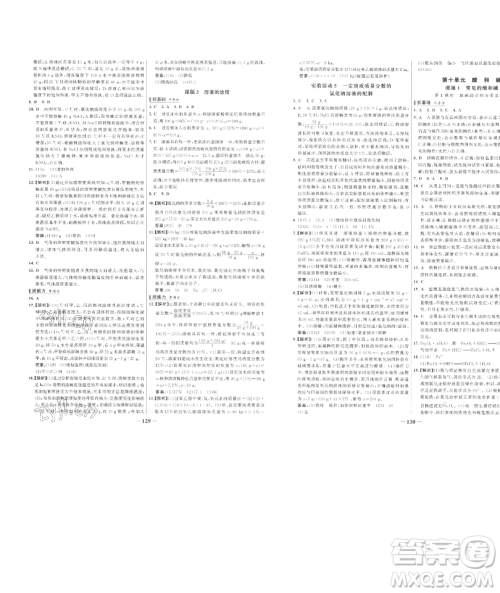 延边大学出版社2023世纪金榜百练百胜九年级下册化学人教版参考答案