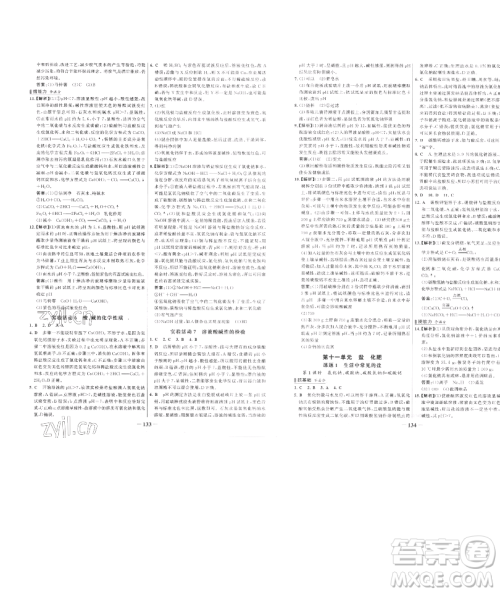 延边大学出版社2023世纪金榜百练百胜九年级下册化学人教版参考答案