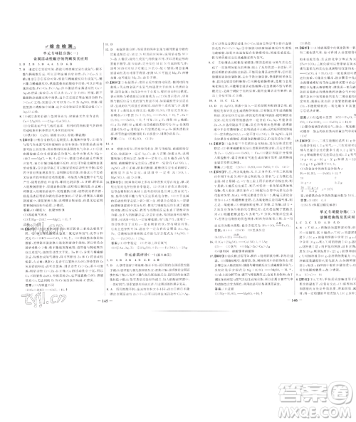 延边大学出版社2023世纪金榜百练百胜九年级下册化学人教版参考答案