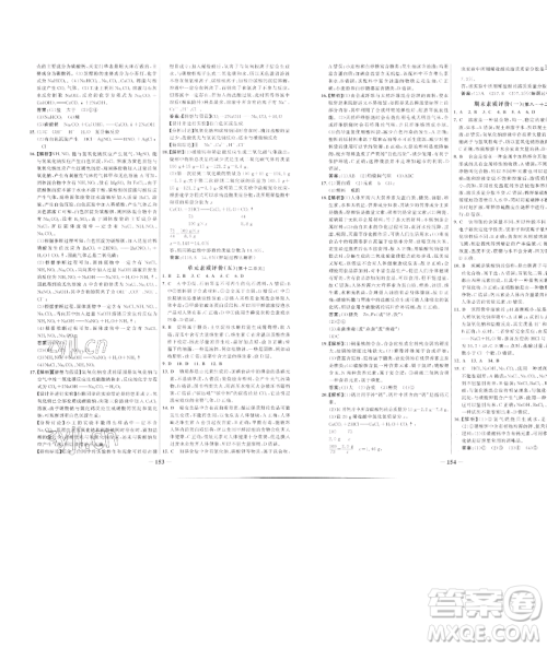 延边大学出版社2023世纪金榜百练百胜九年级下册化学人教版参考答案