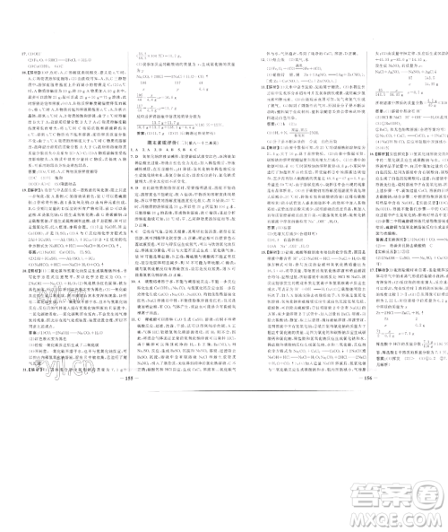 延边大学出版社2023世纪金榜百练百胜九年级下册化学人教版参考答案