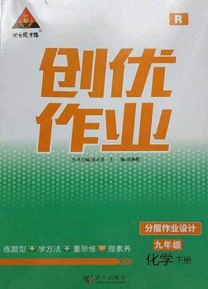 武汉出版社2023状元成才路创优作业九年级化学下册人教版参考答案