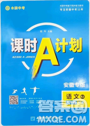 安徽师范大学出版社2023课时A计划九年级语文下册人教版安徽专版答案