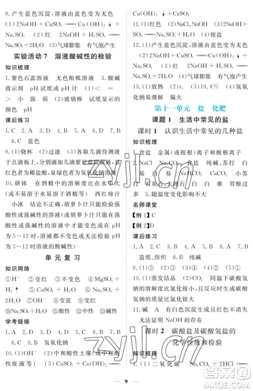 江西人民出版社2023一课一练创新练习九年级下册化学人教版参考答案