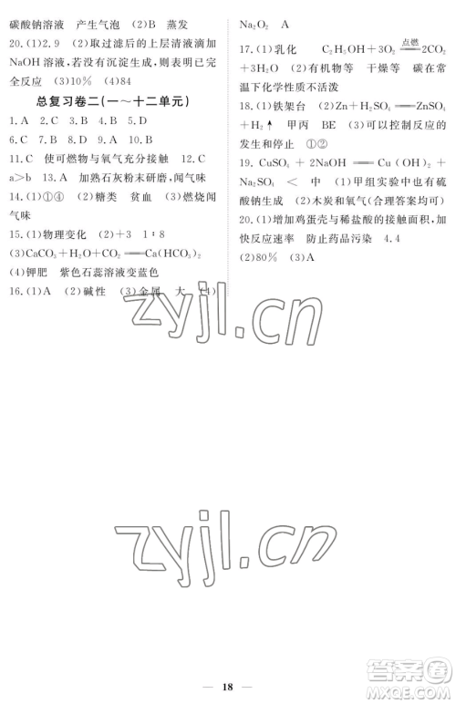 江西人民出版社2023一课一练创新练习九年级下册化学人教版参考答案