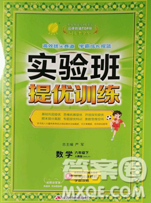 江苏人民出版社2023实验班提优训练六年级下册数学人教版参考答案