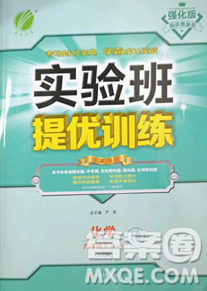 江苏人民出版社2023实验班提优训练九年级下册化学沪教版上海专版参考答案