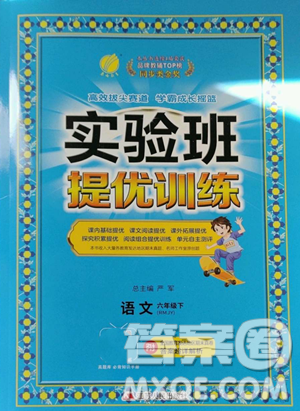 江苏人民出版社2023实验班提优训练六年级下册语文人教版参考答案