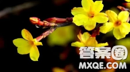 ___之花静静地开为题作文600字 关于___之花静静地开为题目的作文600字 ___之花静静地开为题作文600字 关于___之花静静地开为题目的作文600字