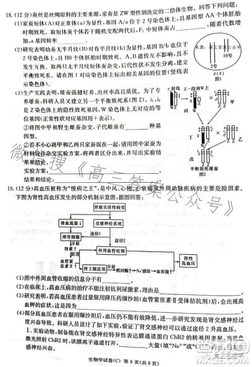 2023届湖南新高考教学教研联盟高三第一次联考生物学试卷答案 2023届湖南新高考教学教研联盟高三第一次联考生物学试卷答案