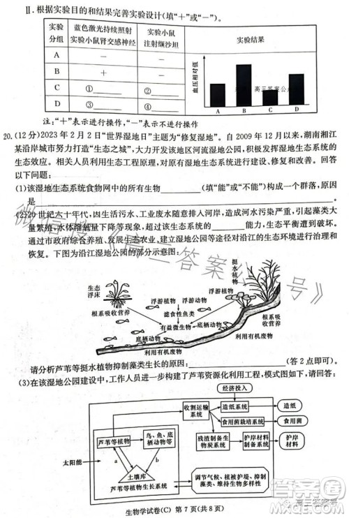 2023届湖南新高考教学教研联盟高三第一次联考生物学试卷答案 2023届湖南新高考教学教研联盟高三第一次联考生物学试卷答案
