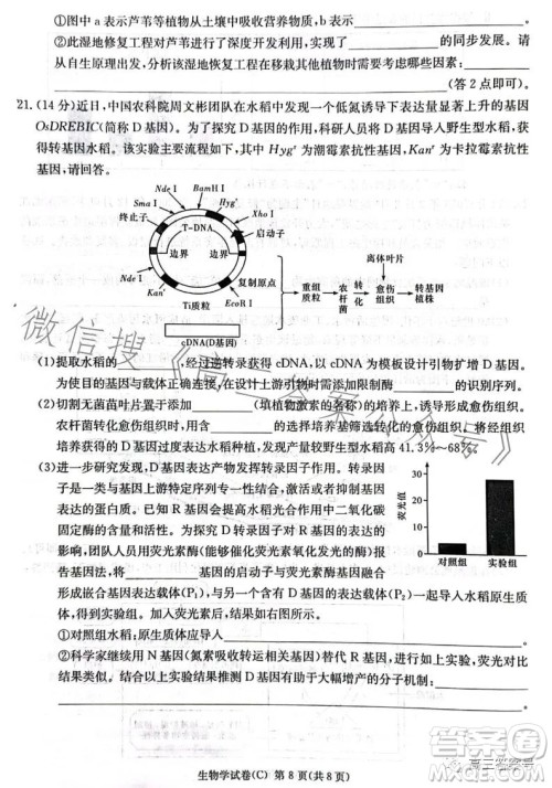 2023届湖南新高考教学教研联盟高三第一次联考生物学试卷答案 2023届湖南新高考教学教研联盟高三第一次联考生物学试卷答案
