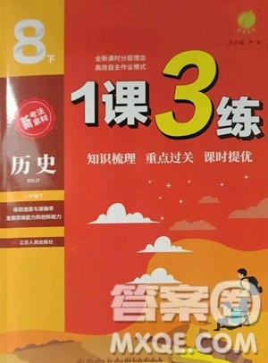江苏人民出版社2023春季1课3练单元达标测试八年级下册历史人教版参考答案
