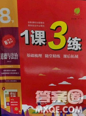 江苏人民出版社2023春季1课3练单元达标测试八年级下册道德与法治人教版升级版参考答案