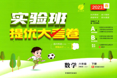 吉林教育出版社2023春实验班提优大考卷六年级数学下册苏教版参考答案