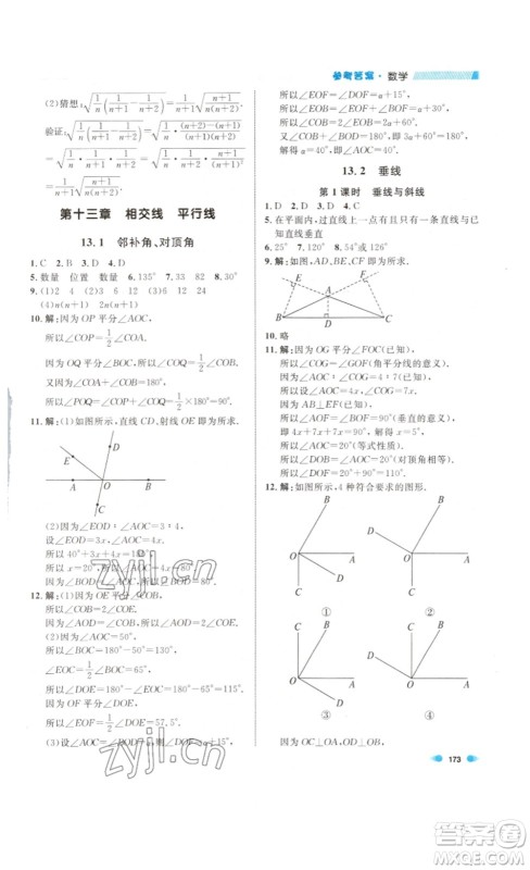 天津人民出版社2023上海作业数学七年级下册沪教版答案