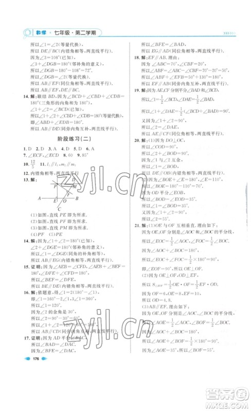 天津人民出版社2023上海作业数学七年级下册沪教版答案