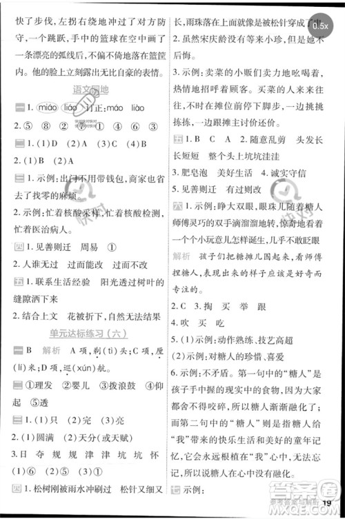 南京师范大学出版社2023一遍过三年级语文下册人教版参考答案 南京师范大学出版社2023一遍过三年级语文下册人教版参考答案