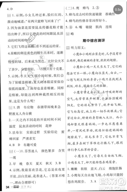 南京师范大学出版社2023一遍过三年级语文下册人教版参考答案 南京师范大学出版社2023一遍过三年级语文下册人教版参考答案