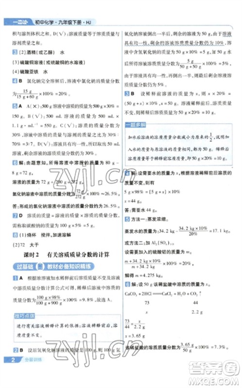 南京师范大学出版社2023一遍过九年级化学下册沪教版参考答案