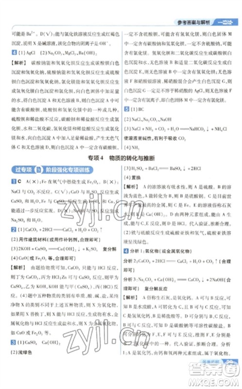 南京师范大学出版社2023一遍过九年级化学下册沪教版参考答案