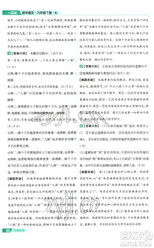 南京师范大学出版社2023一遍过九年级语文下册人教版参考答案