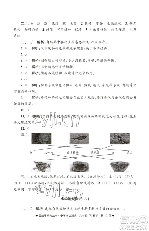 浙江工商大学出版社2023孟建平小学滚动测试六年级下册科学教科版参考答案