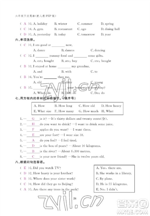 江西教育出版社2023年芝麻开花课堂作业本六年级英语下册人教PEP版参考答案