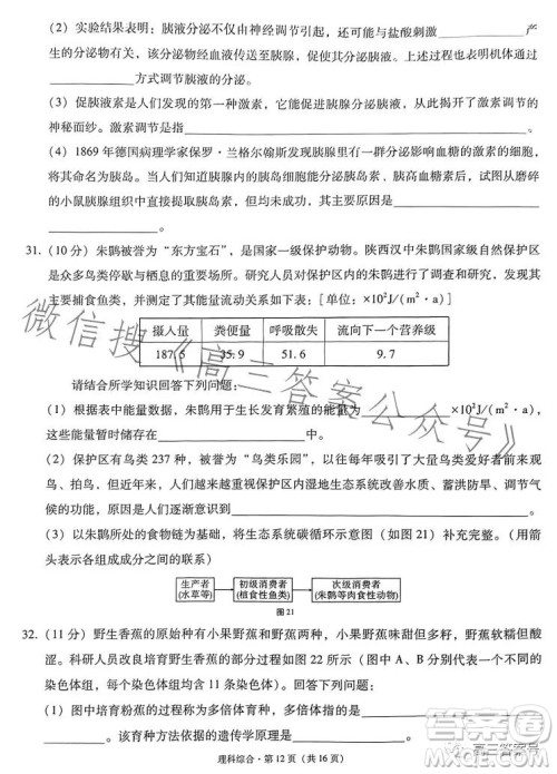 2023届3+3+3高考备考诊断性联考卷二理科综合答案 2023届3+3+3高考备考诊断性联考卷二理科综合答案