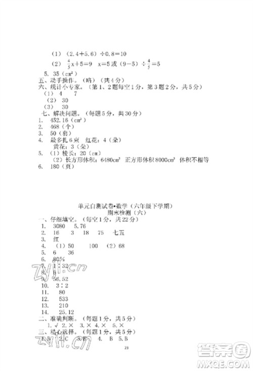 青岛出版社2023单元自测试卷六年级数学下册人教版参考答案