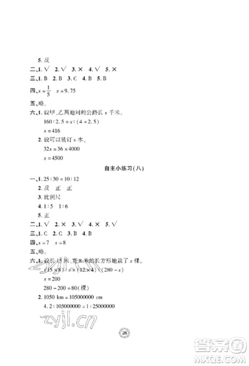 青岛出版社2023单元自测试卷六年级数学下册人教版参考答案