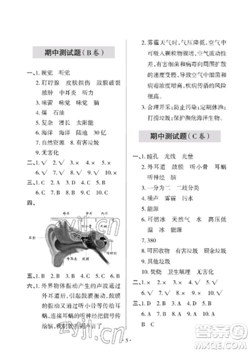 青岛出版社2023单元自测试卷六年级科学下册青岛版参考答案 青岛出版社2023单元自测试卷六年级科学下册青岛版参考答案