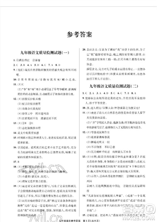 青岛出版社2023测试卷九年级语文下册人教版参考答案