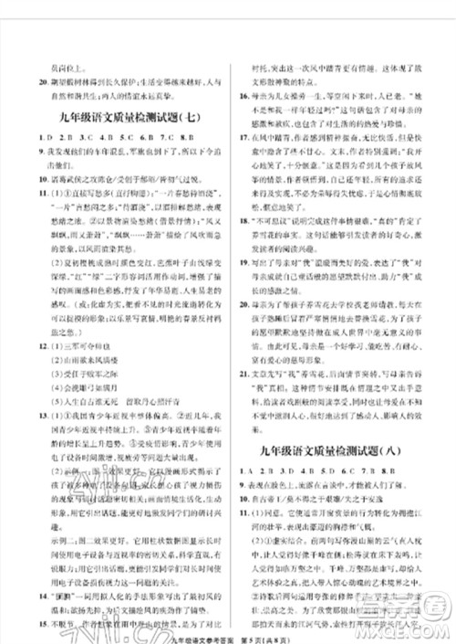 青岛出版社2023测试卷九年级语文下册人教版参考答案
